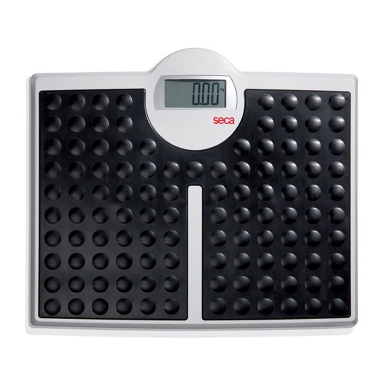 seca 813 High Capacity Digital Flat Scale for Individual Patient Use - 440 lbs Capacity - Image 1